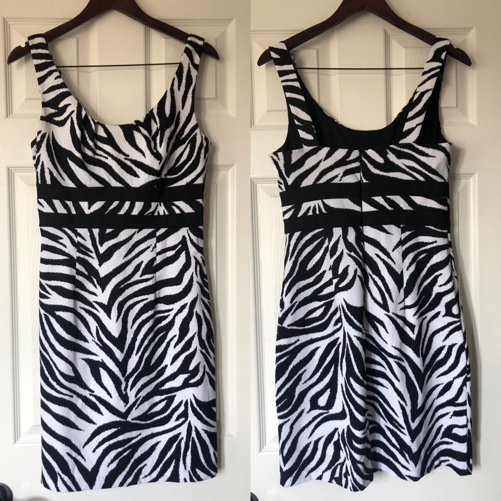 Zebra Print Dress 🦓
